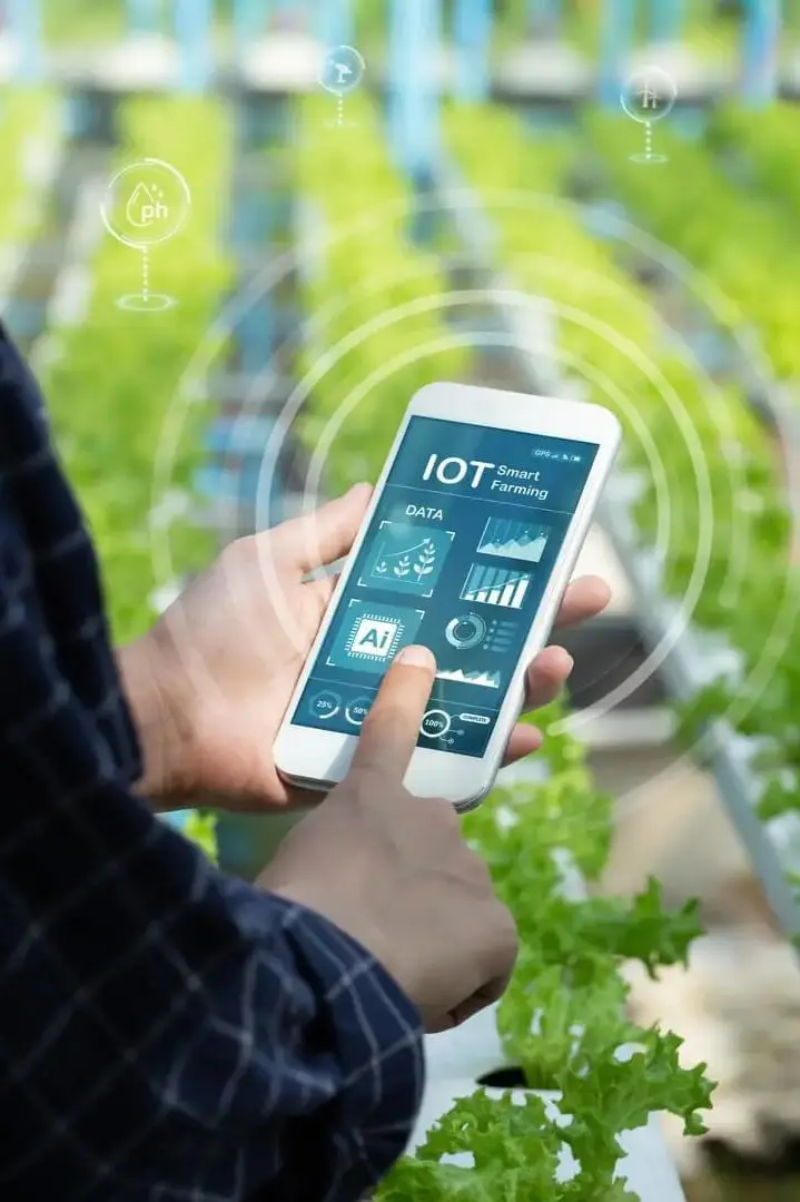iot na agricultura de precisão